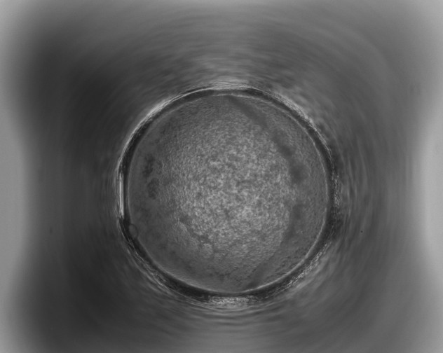 X0000097881171200803211328