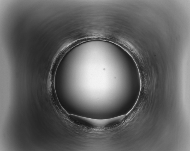 X0000097881172200803211328