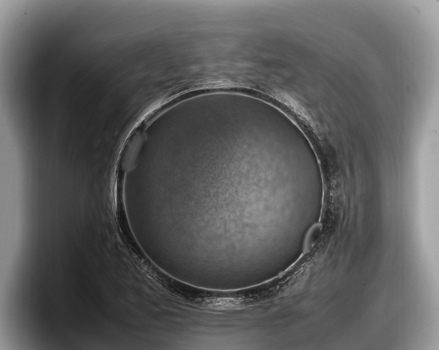 X0000097881173200803211328