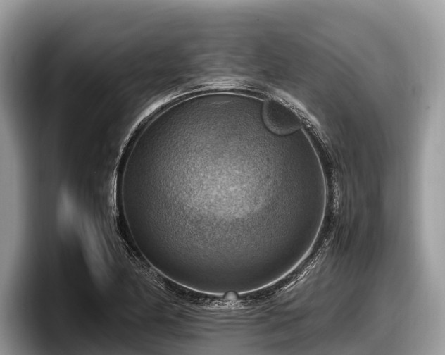 X0000097881174200803211328