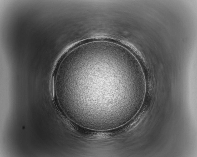 X0000097881175200803211328