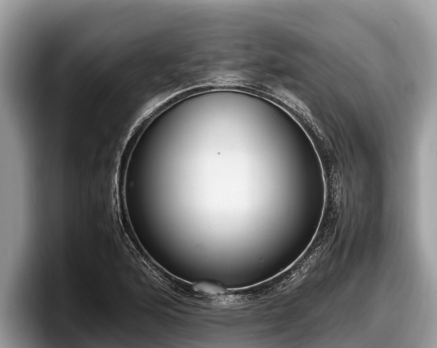 X0000097881176200803211328