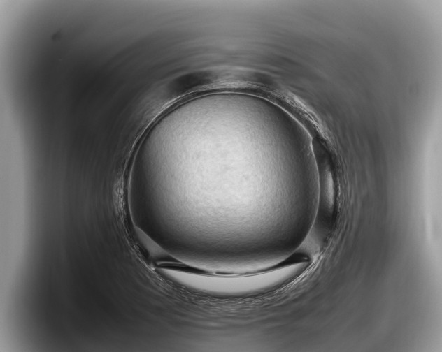 X0000097881177200803211328