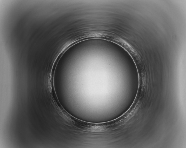 X0000097881178200803211328