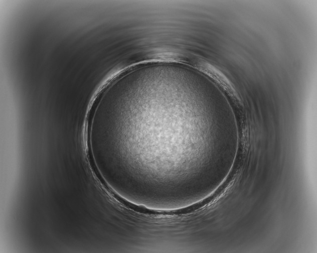 X0000097881180200803211328