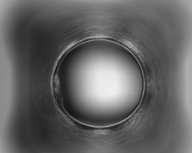 X0000097881181200803211328