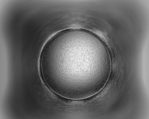 X0000097881183200803211328