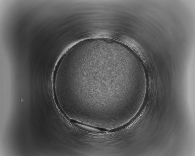 X0000097881184200803211328