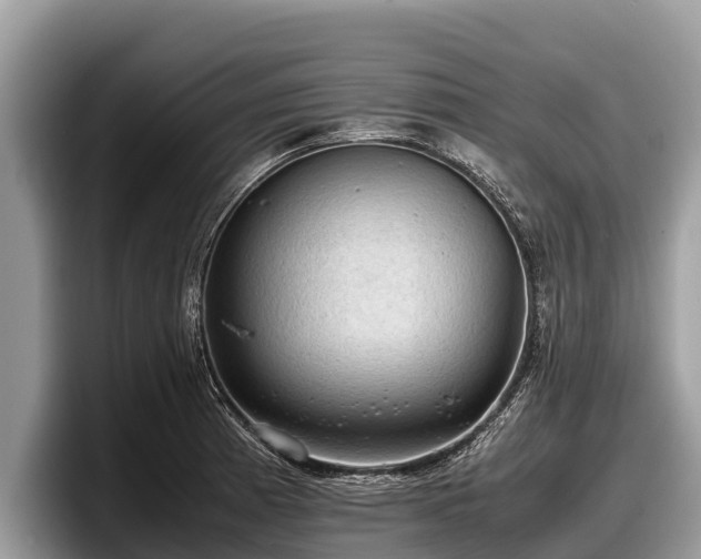 X0000097881185200803211328