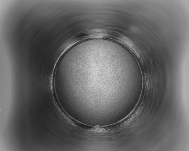 X0000097881186200803211328