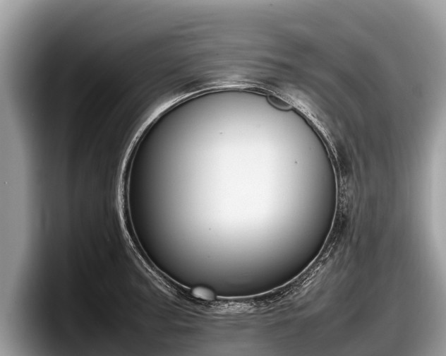 X0000097881187200803211328