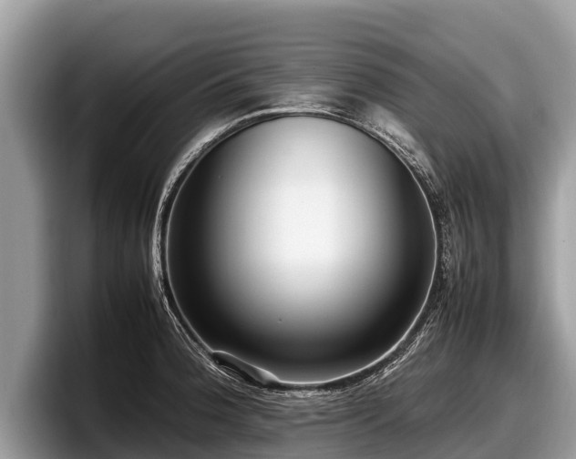 X0000097881188200803211328