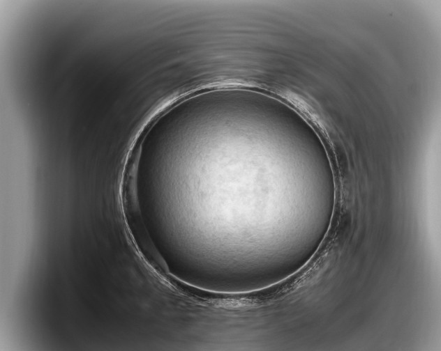 X0000097881189200803211328