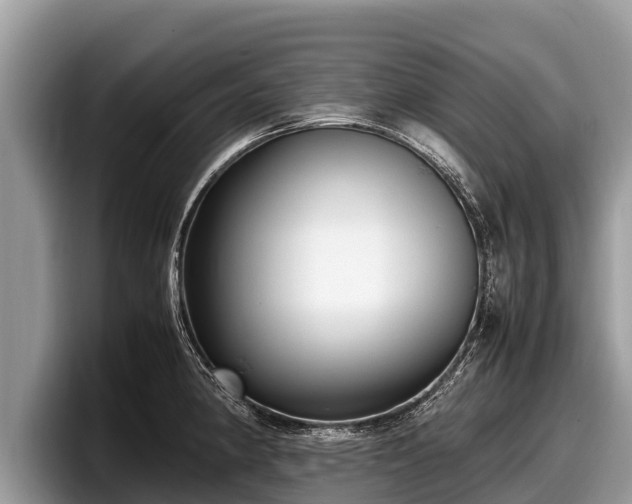 X0000097881190200803211328