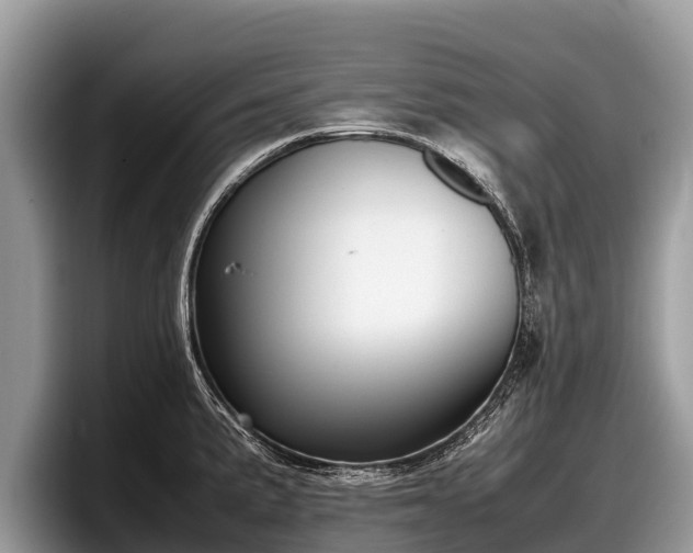 X0000097881191200803211328