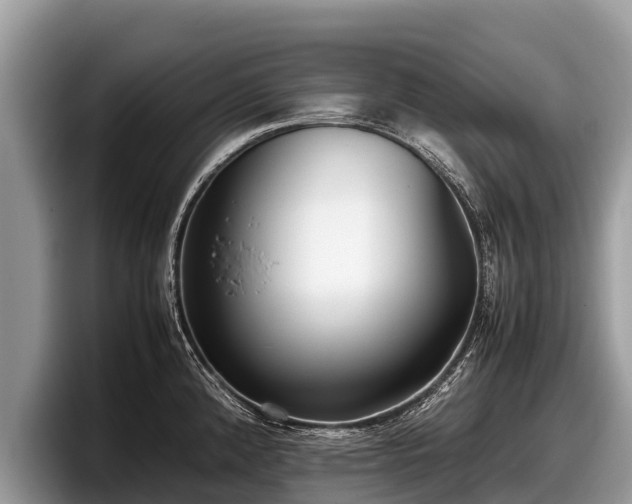 X0000097881192200803211328