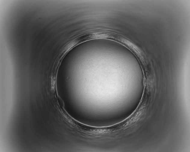 X0000097881193200803211328