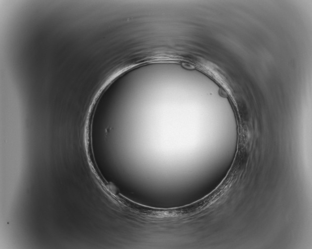 X0000097881195200803211328