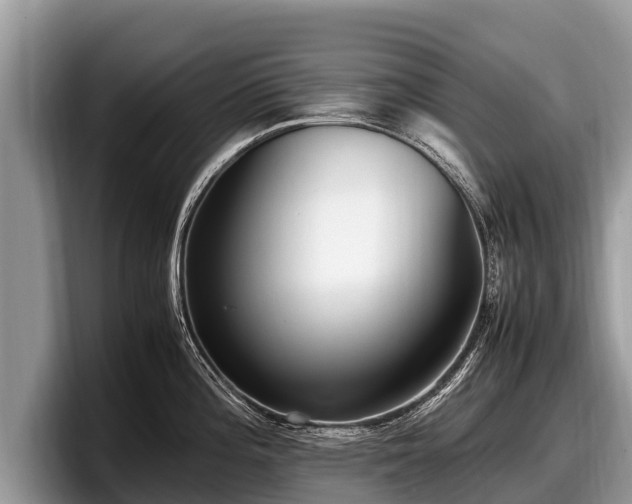 X0000097881196200803211328