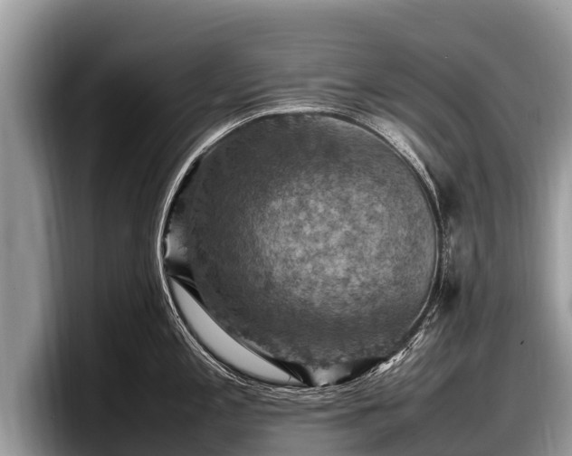 X0000097881197200803211328