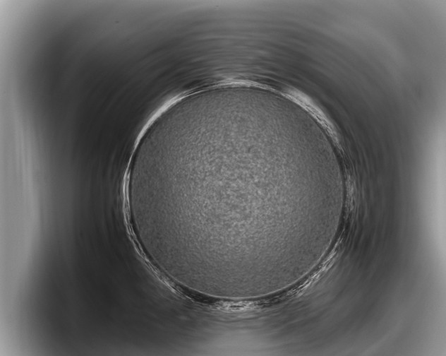 X0000097881198200803211328