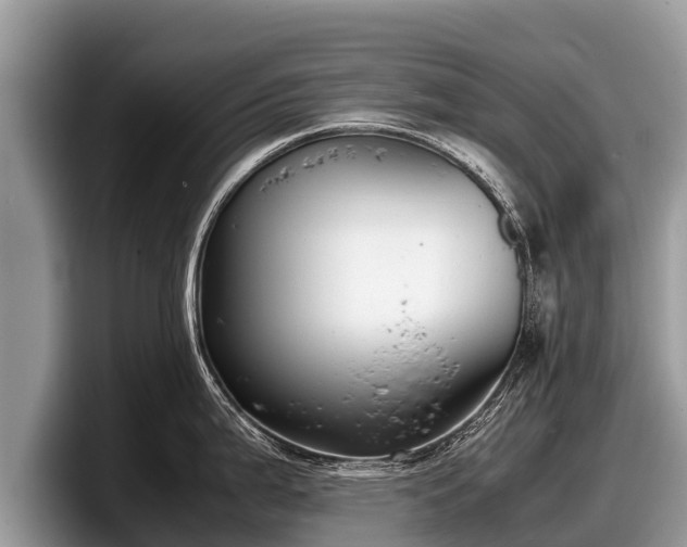 X0000097881199200803211328