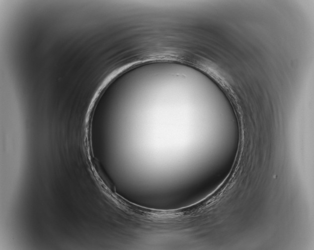 X0000097881200200803211328