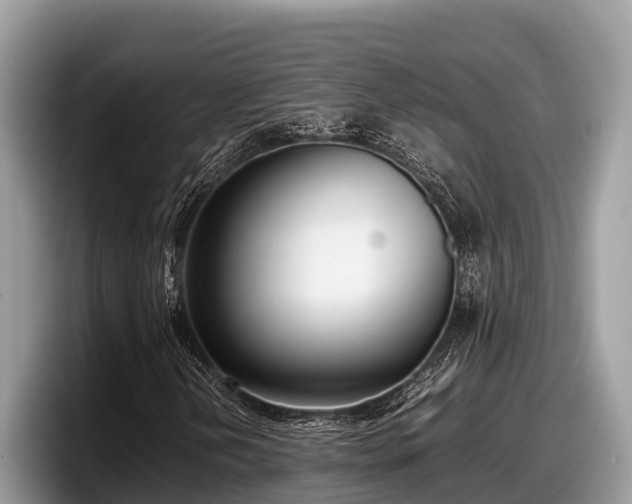 X0000097881202200803211327