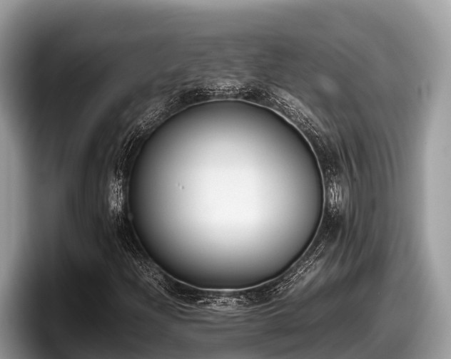 X0000097881204200803211327