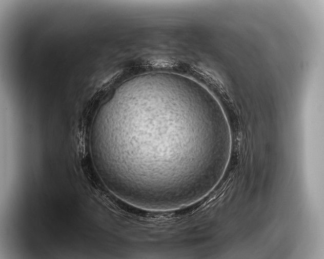 X0000097881205200803211327