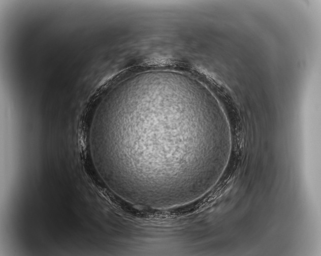 X0000097881206200803211327