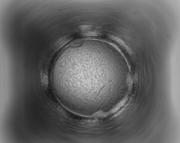 X0000097881209200803211327