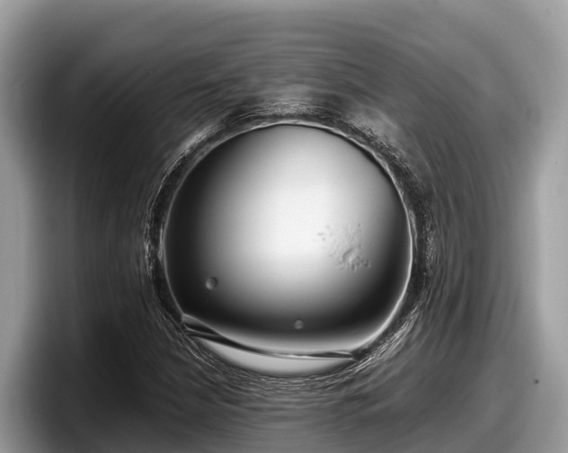 X0000097881210200803211327