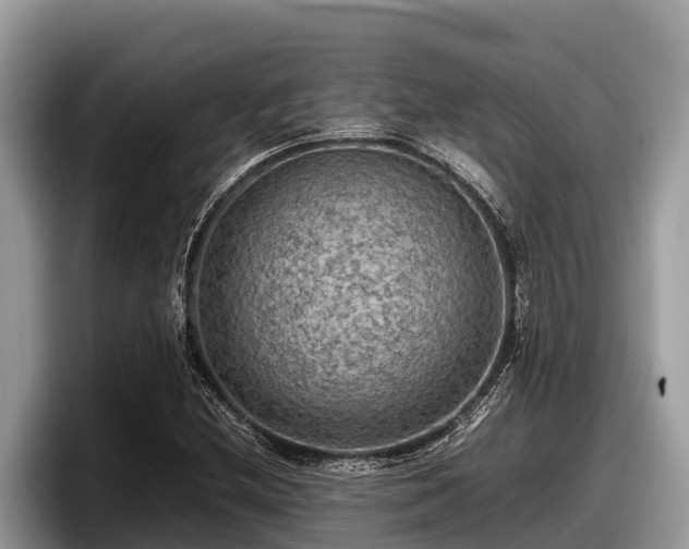 X0000097881212200803211327