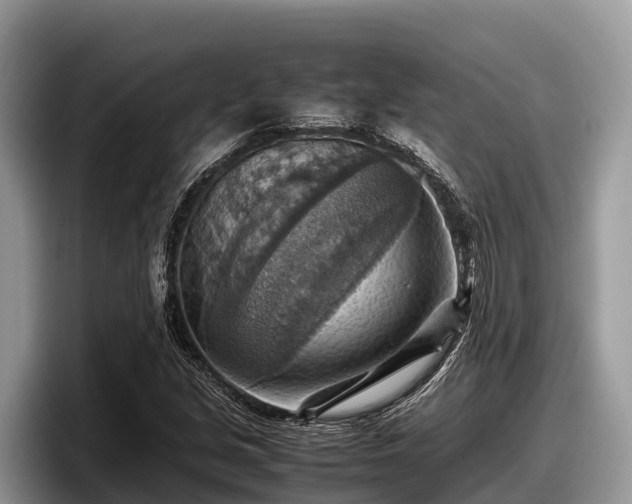 X0000097881213200803211327