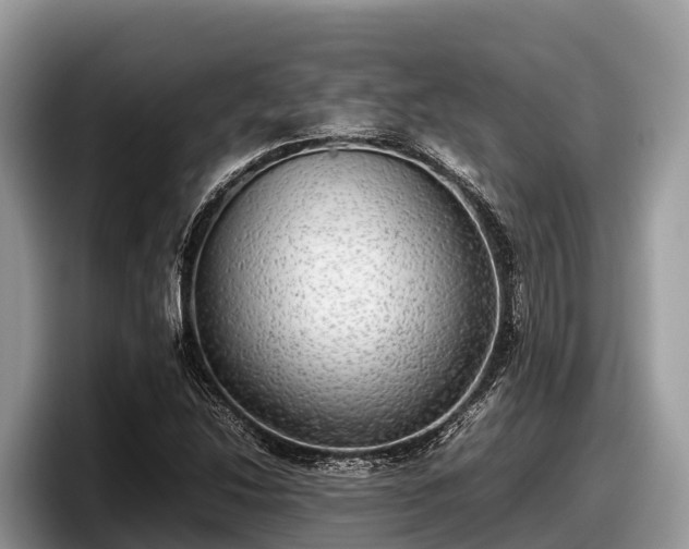 X0000097881214200803211327