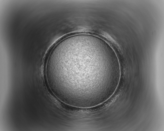 X0000097881216200803211327