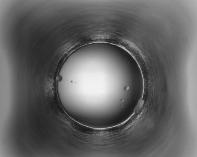 X0000097881217200803211327
