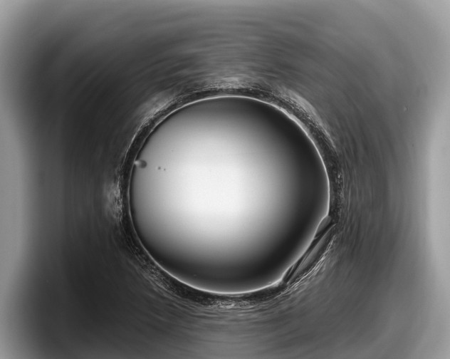 X0000097881218200803211327
