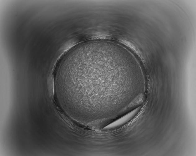 X0000097881219200803211327
