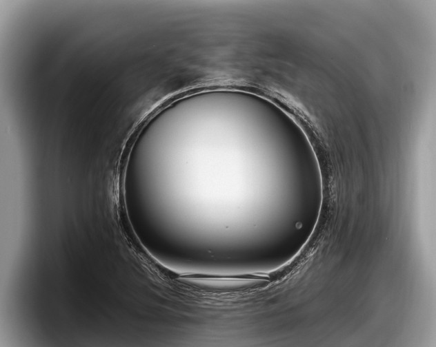 X0000097881220200803211327