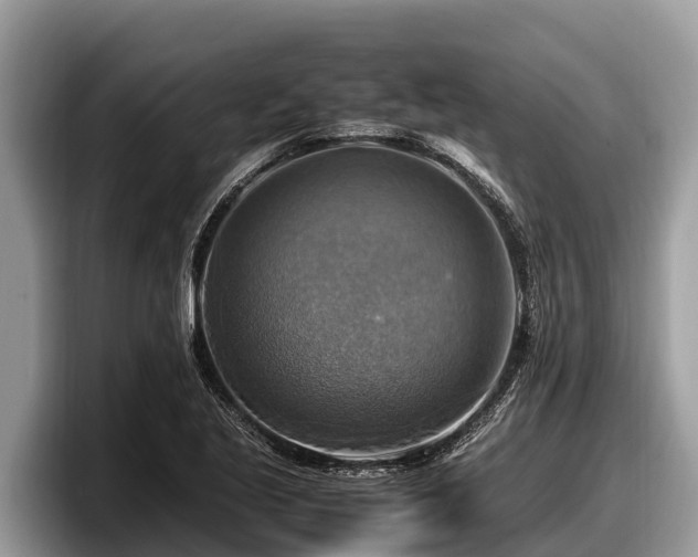 X0000097881221200803211327