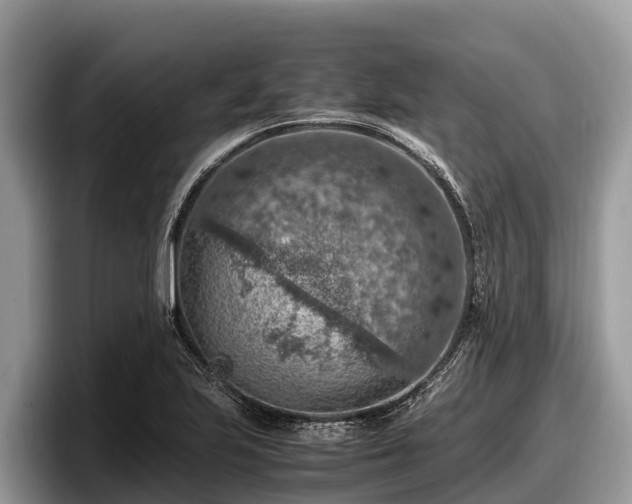 X0000097881223200803211327