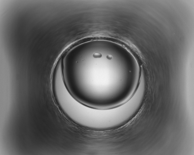 X0000097881224200803211327