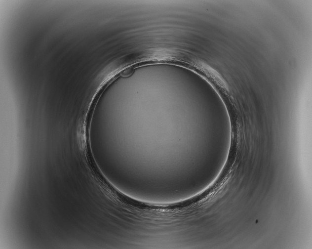 X0000097881226200803211327