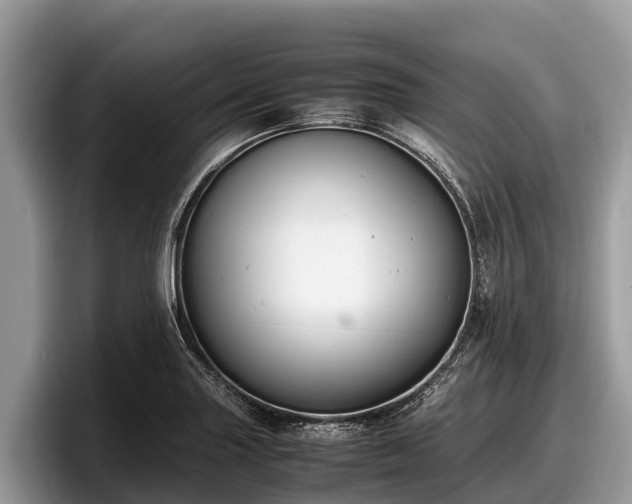 X0000097881227200803211328