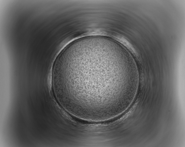 X0000097881228200803211328