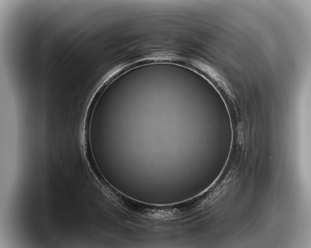 X0000097881229200803211328