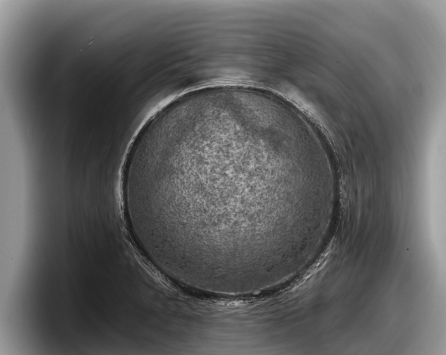 X0000097881230200803211328