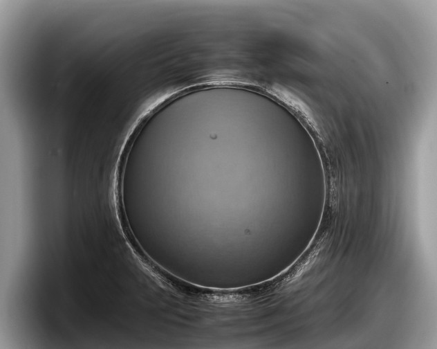 X0000097881231200803211328